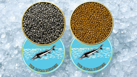 2X 125G PERSIAN ROYAL CAVIAR DUO - The Caviar Business Dubai