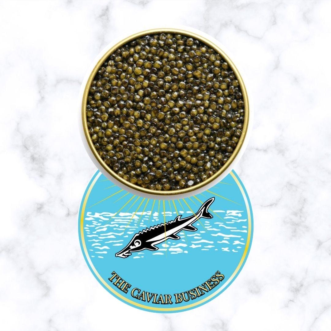 RUSSIAN OSCIETRA CAVIAR - The Caviar Business Dubai